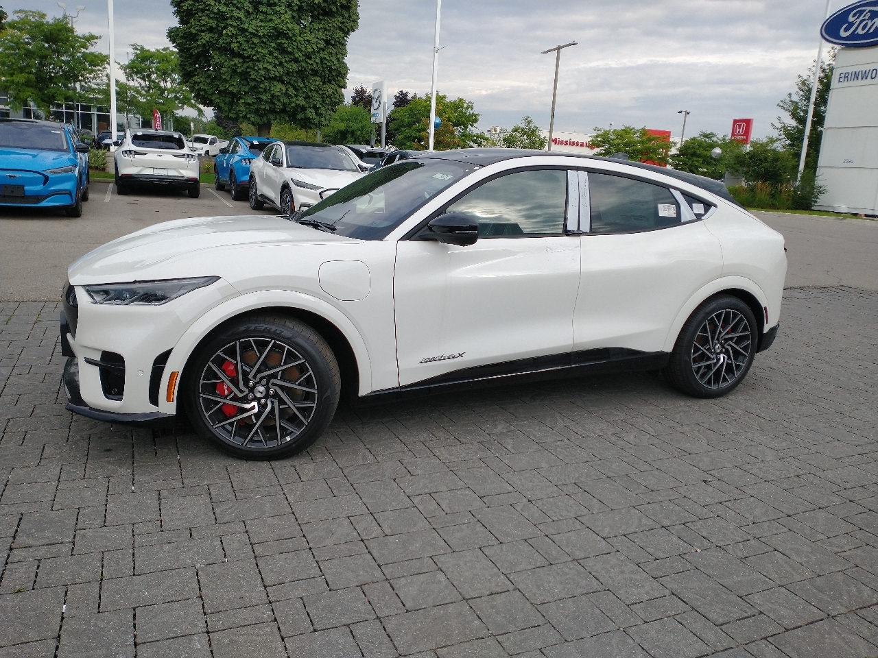 White mustang store mach e